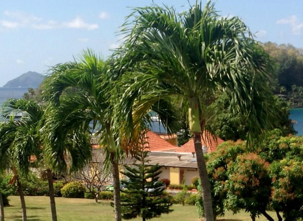 קינגסטאון Sunset Shores Beach Hotel מראה חיצוני תמונה