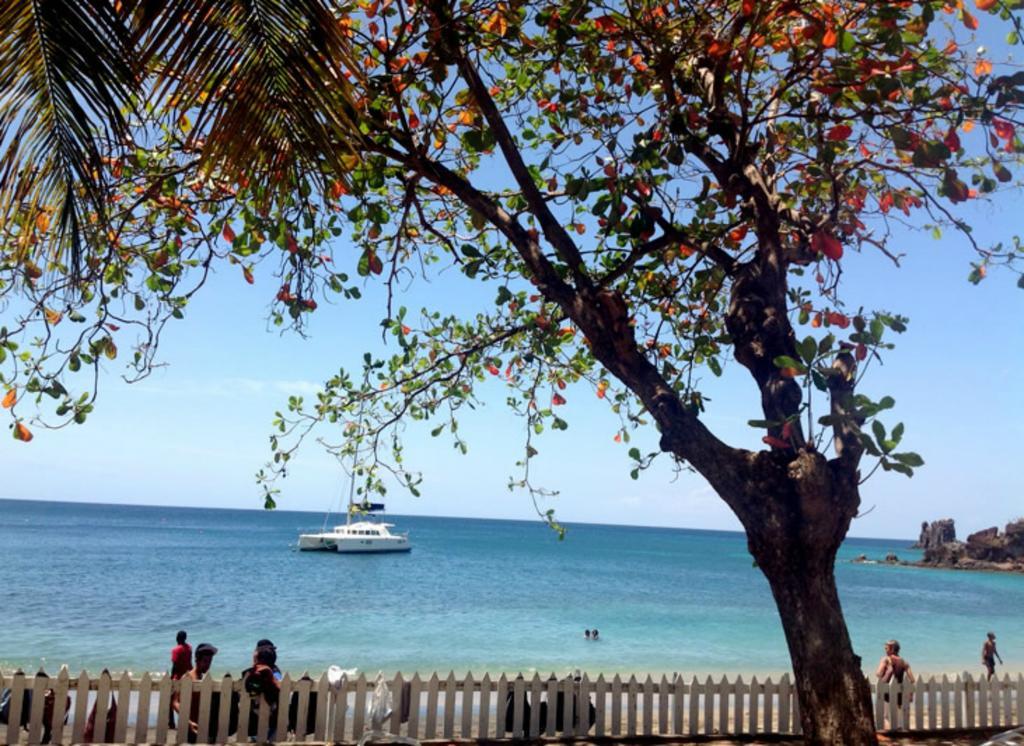 קינגסטאון Sunset Shores Beach Hotel מראה חיצוני תמונה