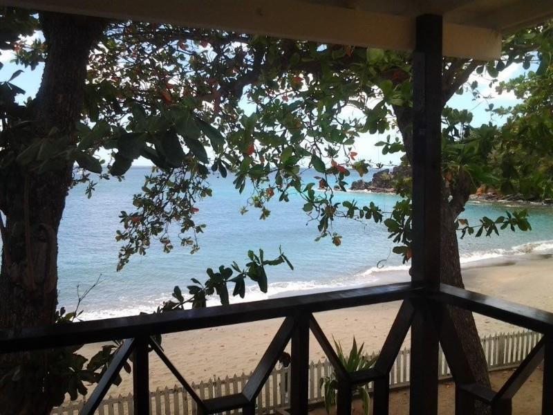 קינגסטאון Sunset Shores Beach Hotel טבע תמונה