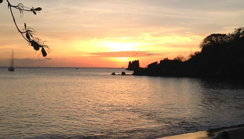 קינגסטאון Sunset Shores Beach Hotel טבע תמונה
